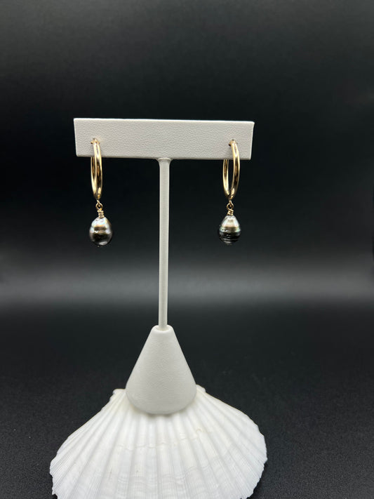 Tahitian Pearl Hoops